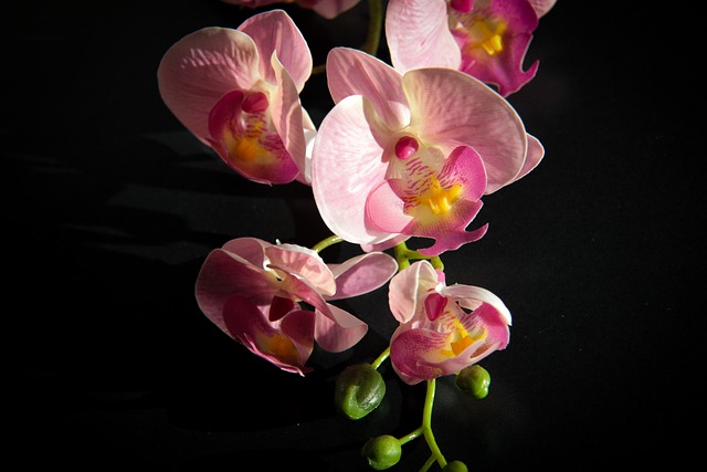 umělé květy orchidejí
